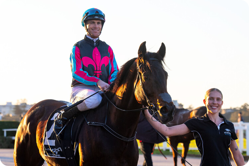 Horse racing photo 6